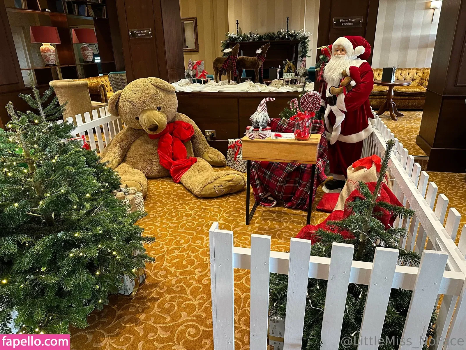 littlemiss_noface Onlyfans Photo Gallery 