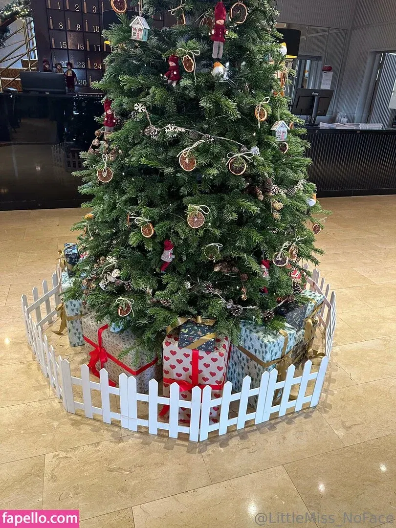 littlemiss_noface Onlyfans Photo Gallery 