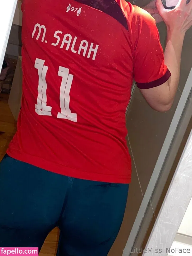 littlemiss_noface Onlyfans Photo Gallery 