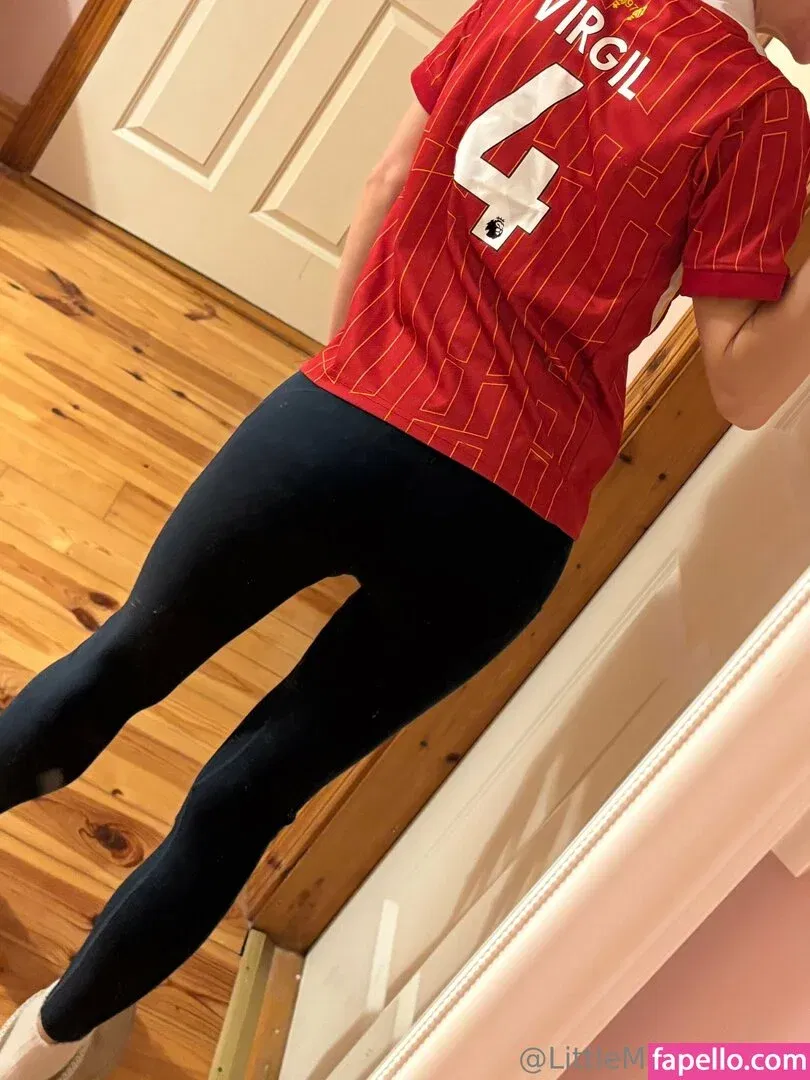 littlemiss_noface Onlyfans Photo Gallery 