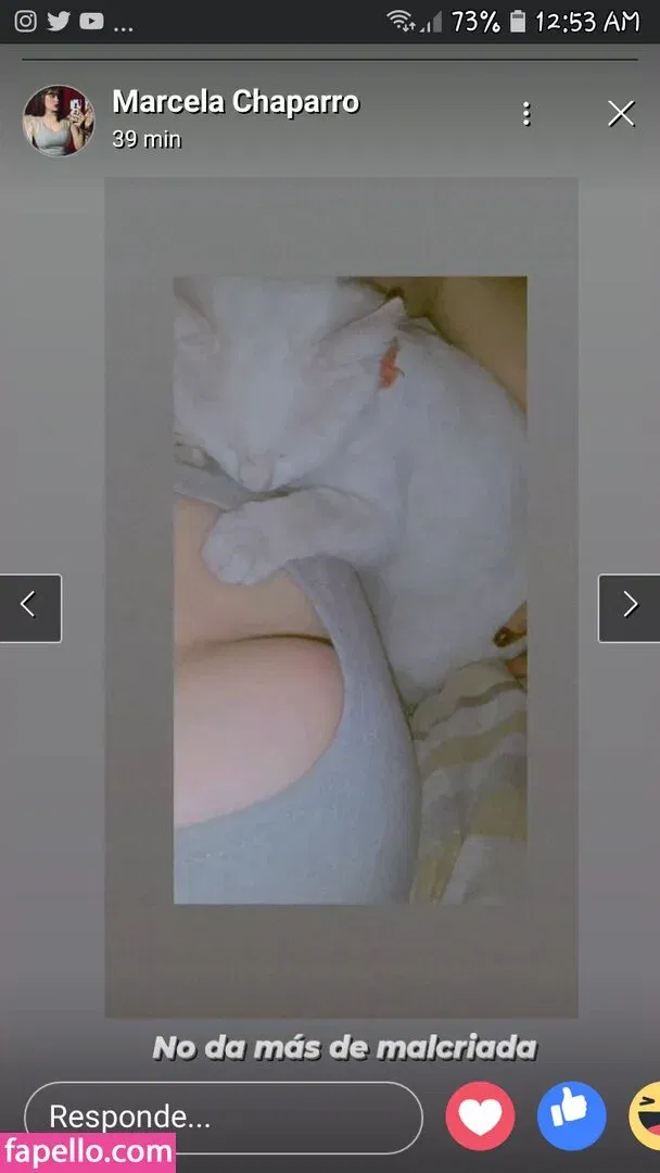 Marcela Chaparro Onlyfans Photo Gallery 