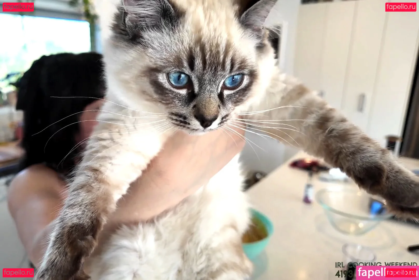 Layna Lazar Onlyfans Photo Gallery 