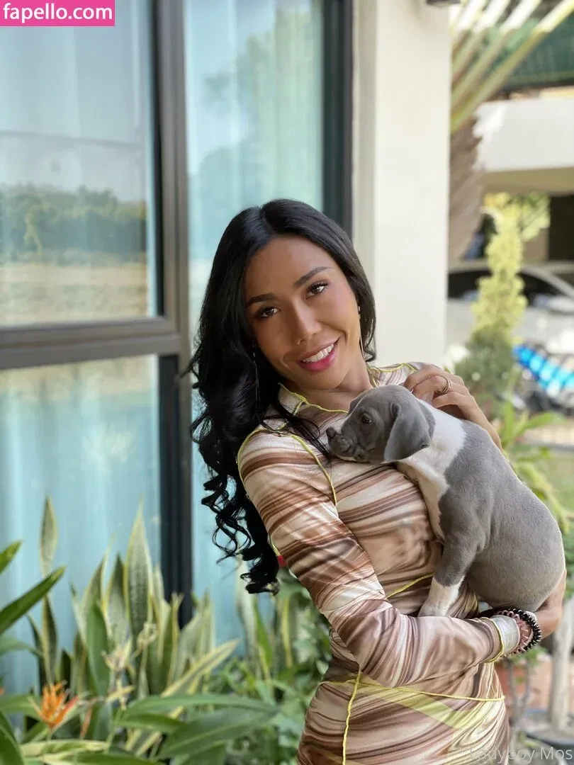 ladyboymos Onlyfans Photo Gallery 