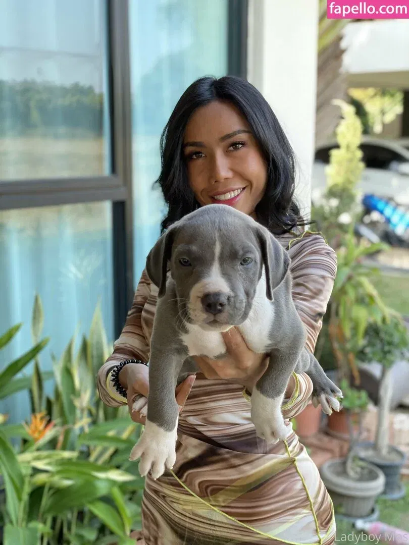 ladyboymos Onlyfans Photo Gallery 