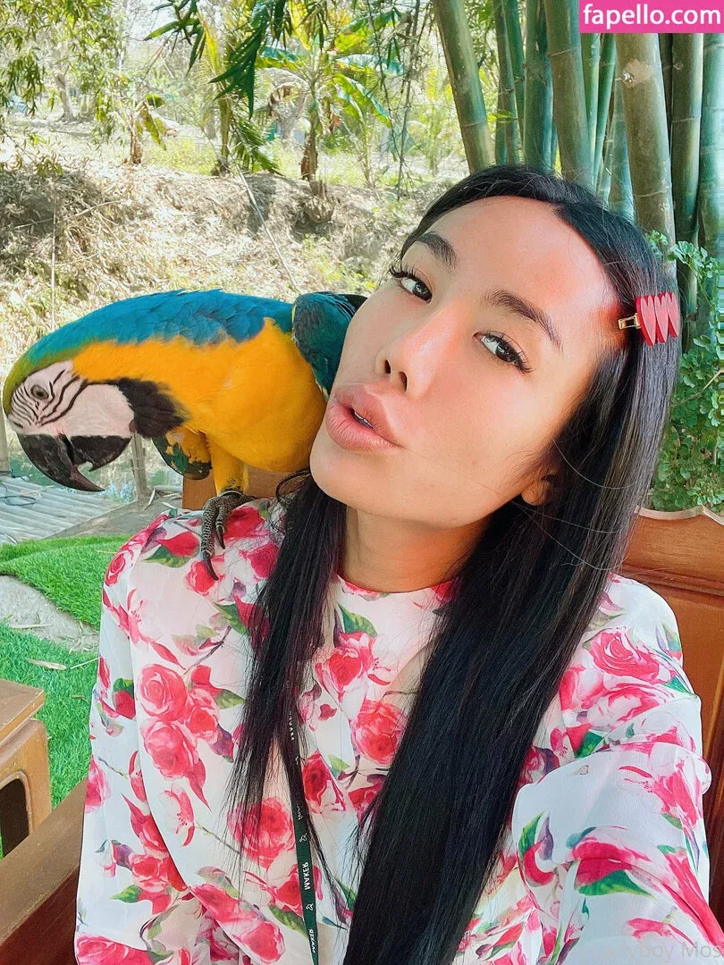 ladyboymos Onlyfans Photo Gallery 