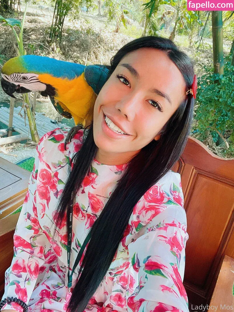 ladyboymos Onlyfans Photo Gallery 