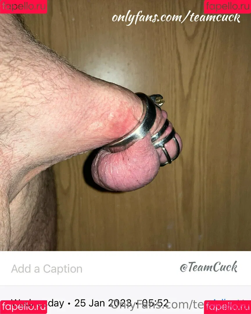 teamcuck Onlyfans Photo Gallery 