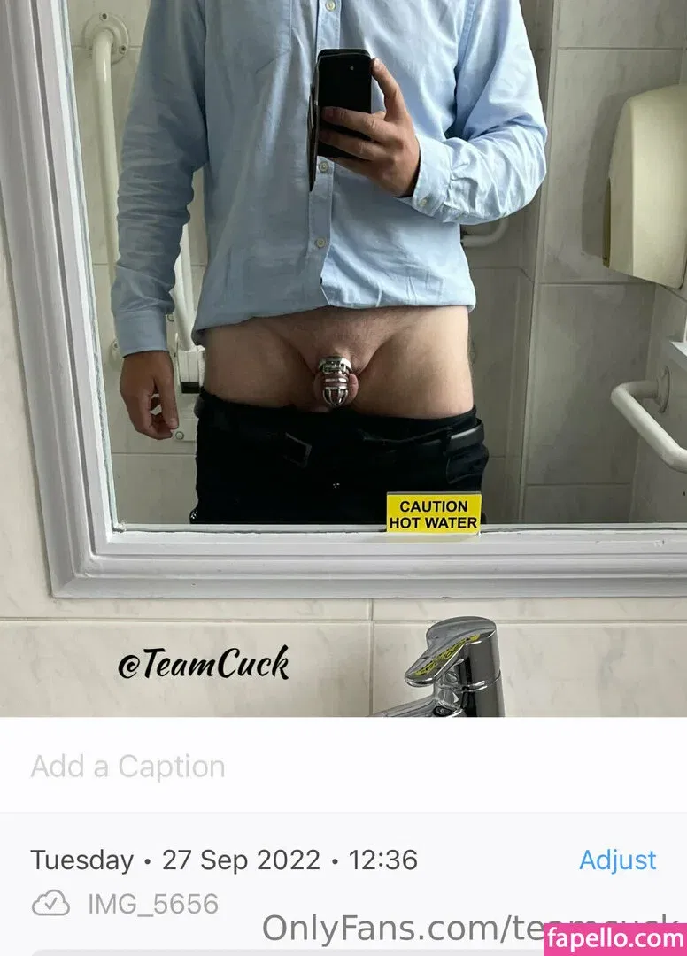 teamcuck Onlyfans Photo Gallery 