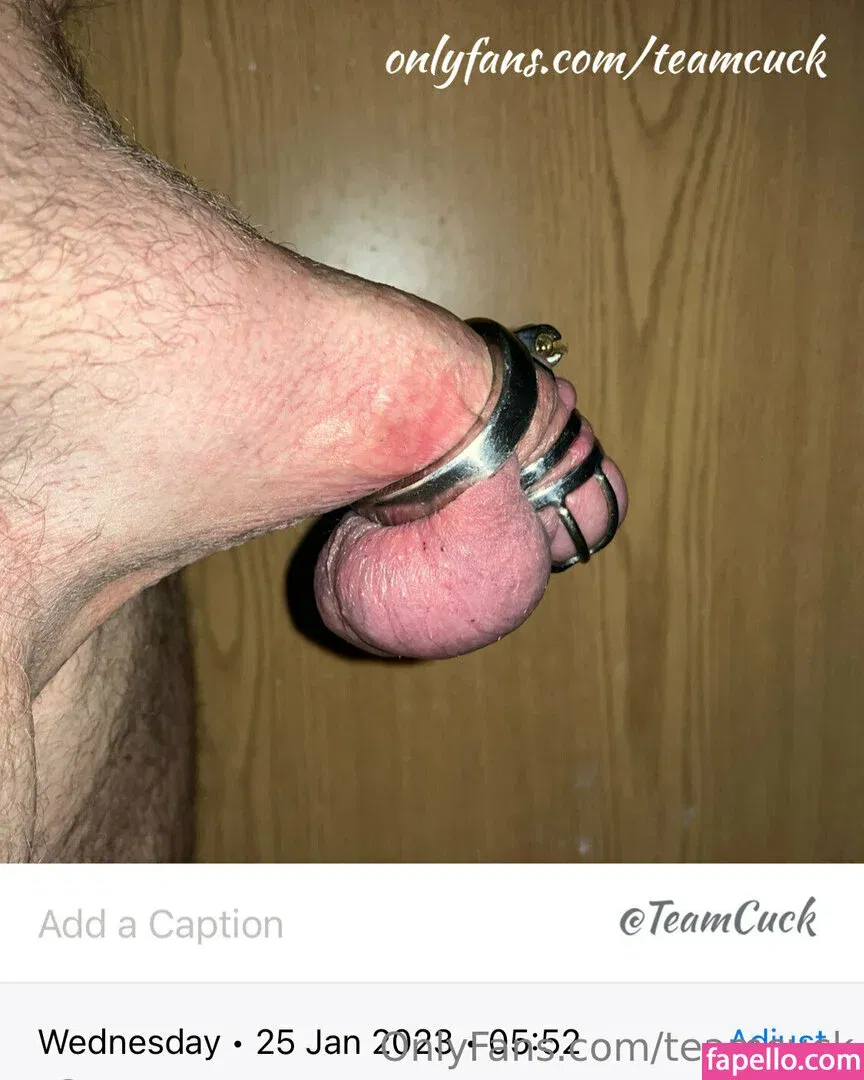 teamcuck Onlyfans Photo Gallery 