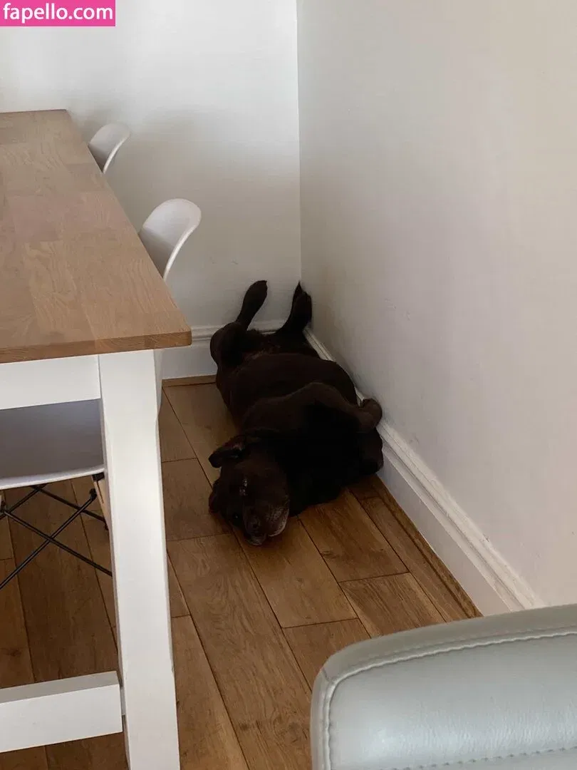 jennynextdoorgirl Onlyfans Photo Gallery 