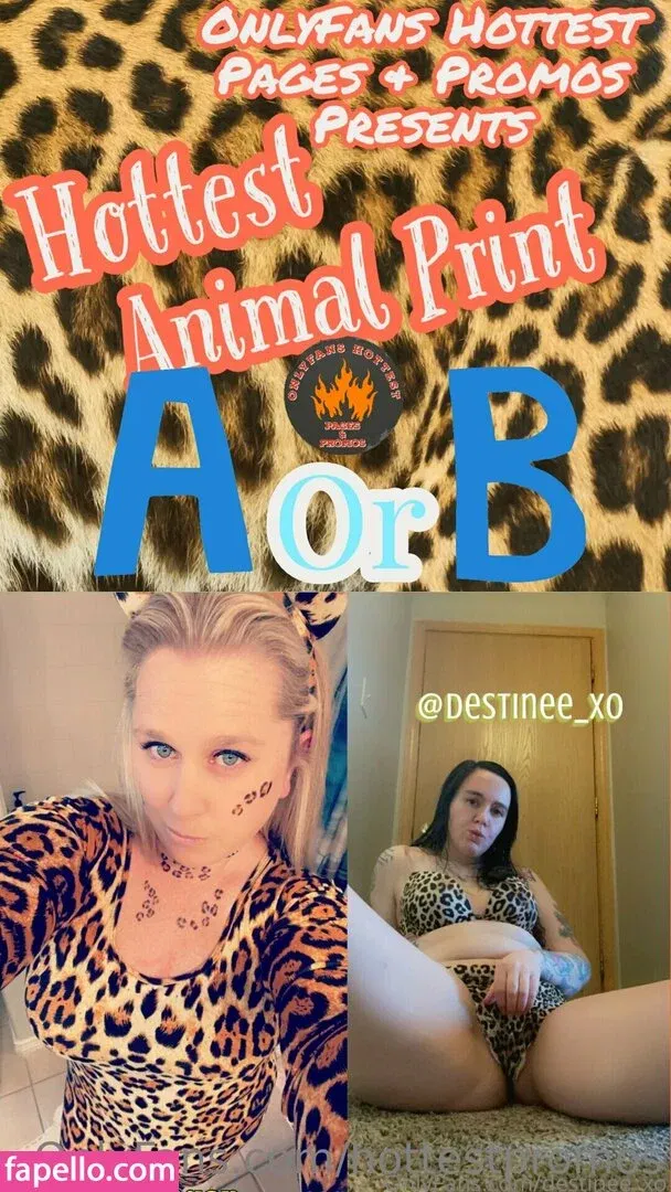 hottestpromos Onlyfans Photo Gallery 