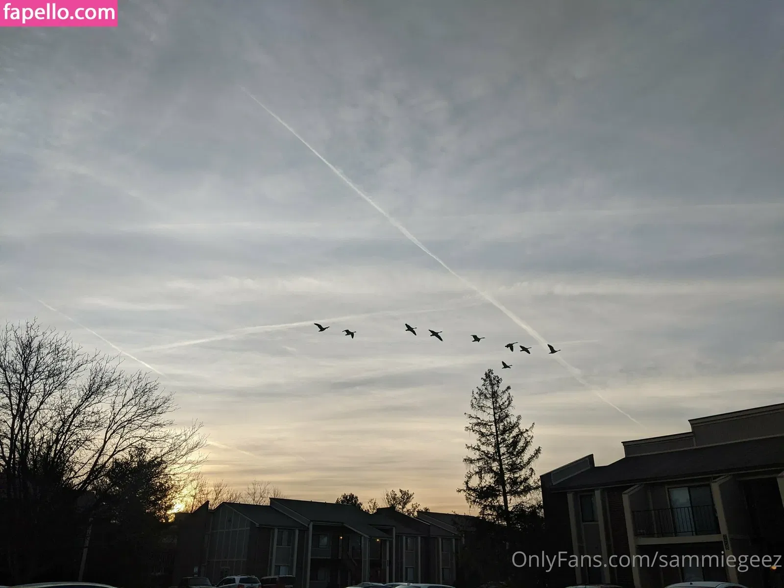 dream_candy Onlyfans Photo Gallery 