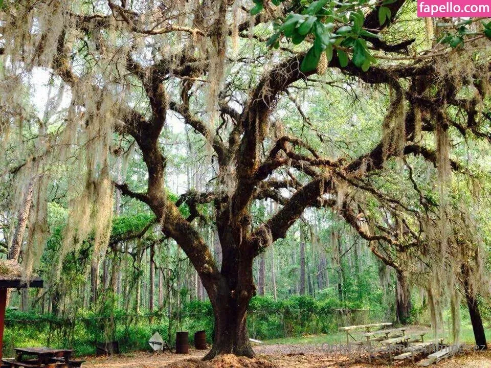 dream_candy Onlyfans Photo Gallery 