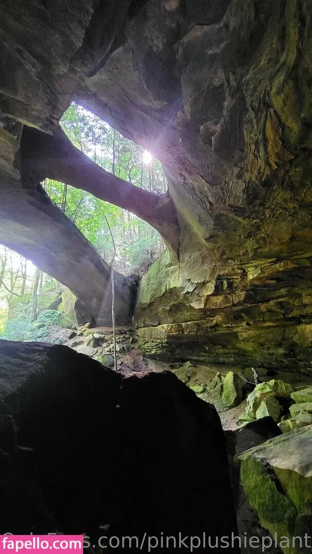 pinkplushieplants Onlyfans Photo Gallery 