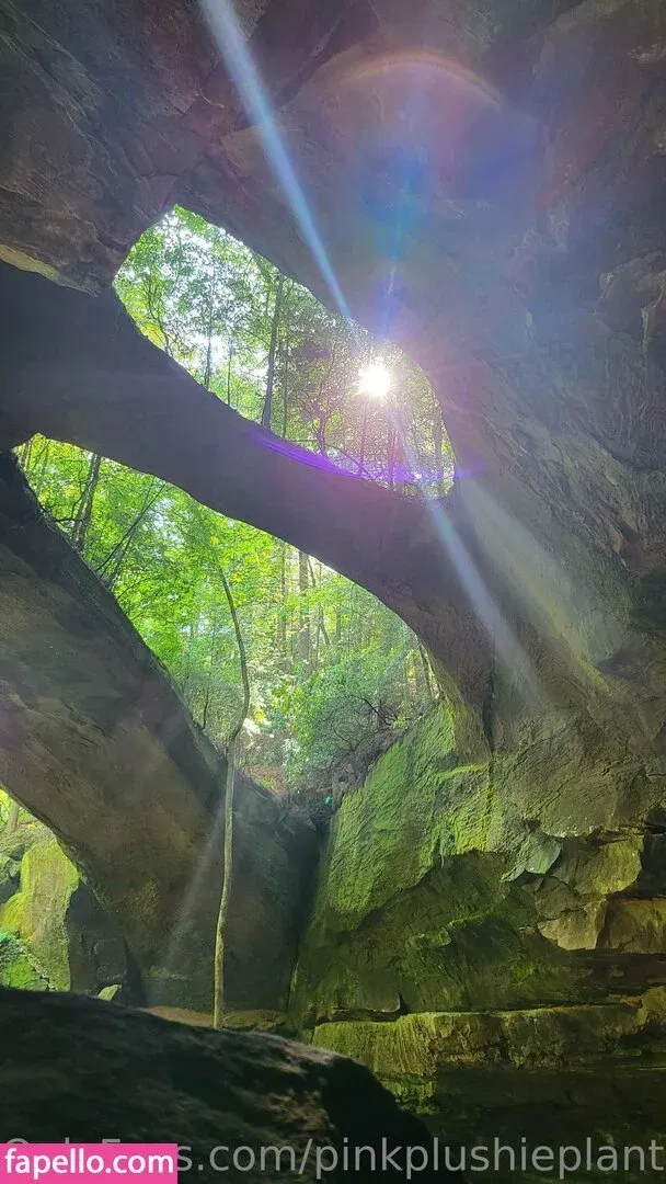 pinkplushieplants Onlyfans Photo Gallery 