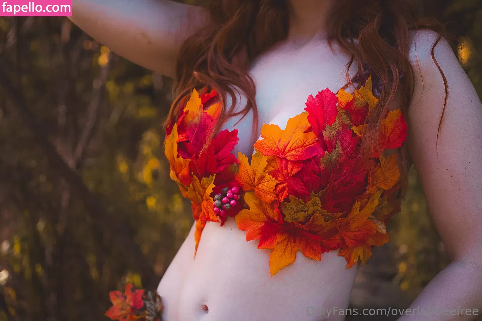 overlairbeefree Onlyfans Photo Gallery 