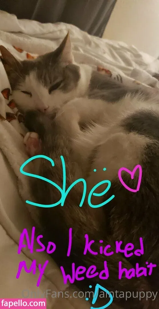 Aintapuppy Onlyfans Photo Gallery 