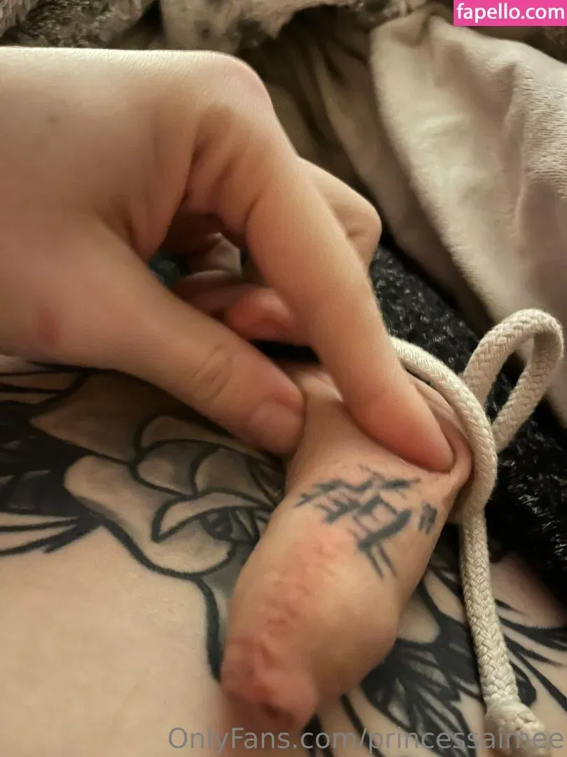 princessaimee Onlyfans Photo Gallery 