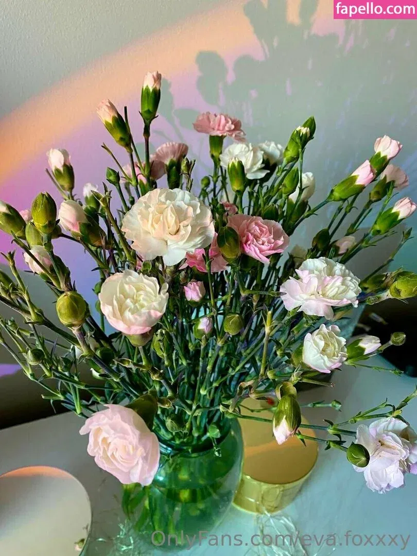 eva.foxxxy Onlyfans Photo Gallery 