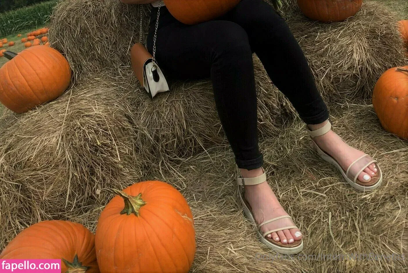 internwithbenefits Onlyfans Photo Gallery 