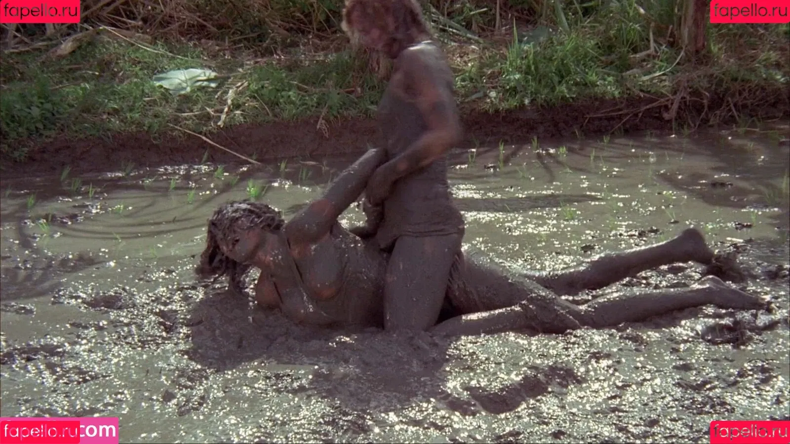 Pam Grier Onlyfans Photo Gallery 