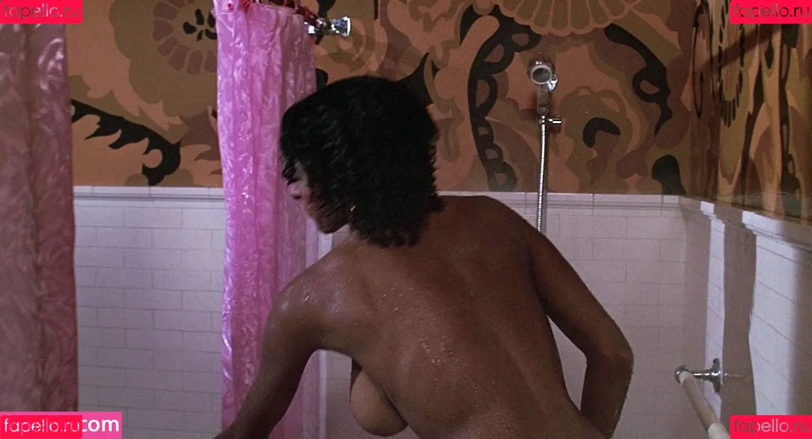 Pam Grier Onlyfans Photo Gallery 