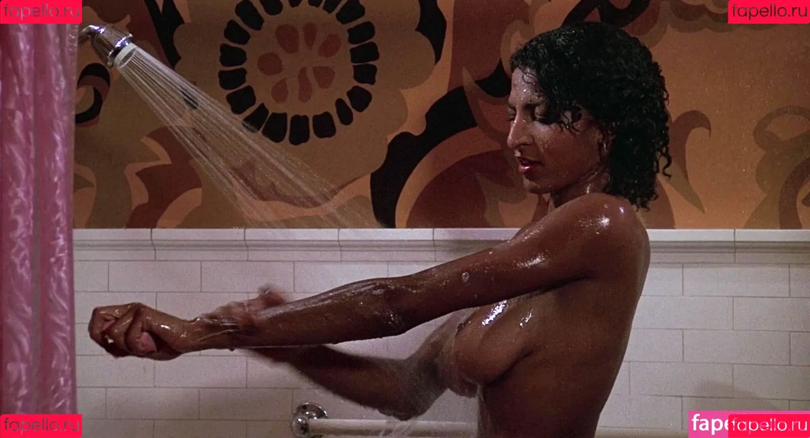 Pam Grier Onlyfans Photo Gallery 