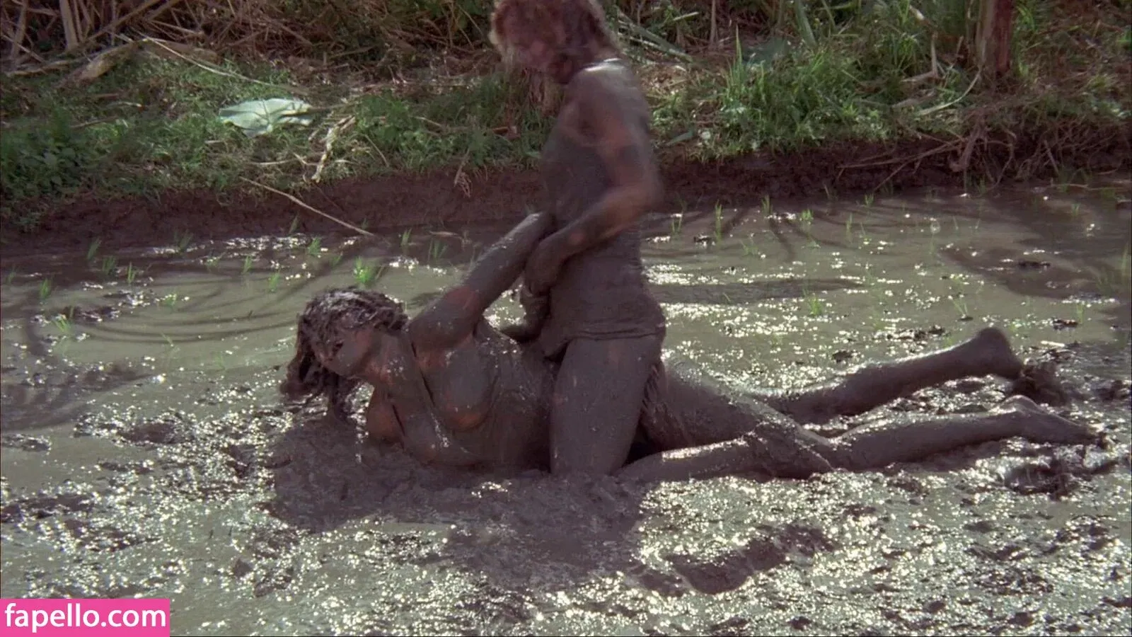 Pam Grier Onlyfans Photo Gallery 