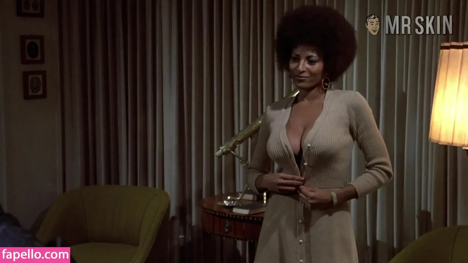 Pam Grier Onlyfans Photo Gallery 