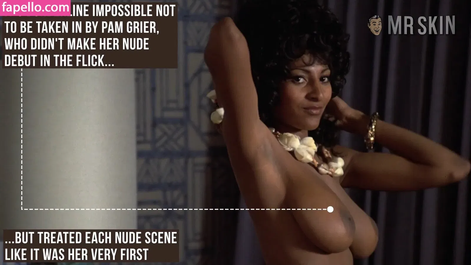 Pam Grier Onlyfans Photo Gallery 