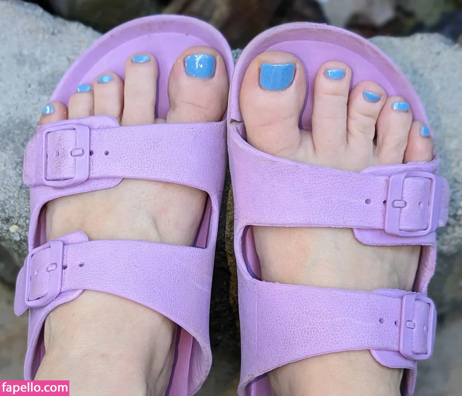 FrecklesAndFelines Onlyfans Photo Gallery 