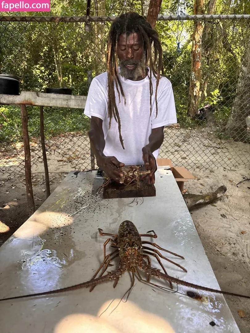 missbellaboo_x Onlyfans Photo Gallery 