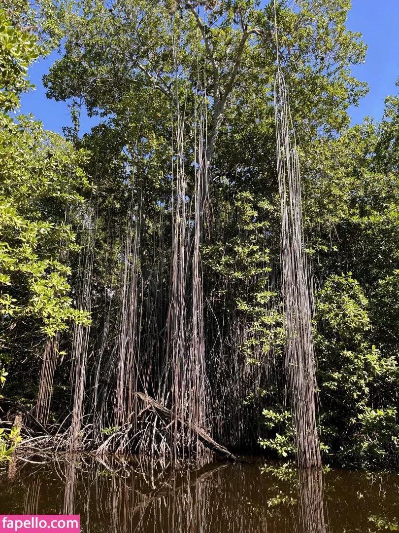 missbellaboo_x Onlyfans Photo Gallery 