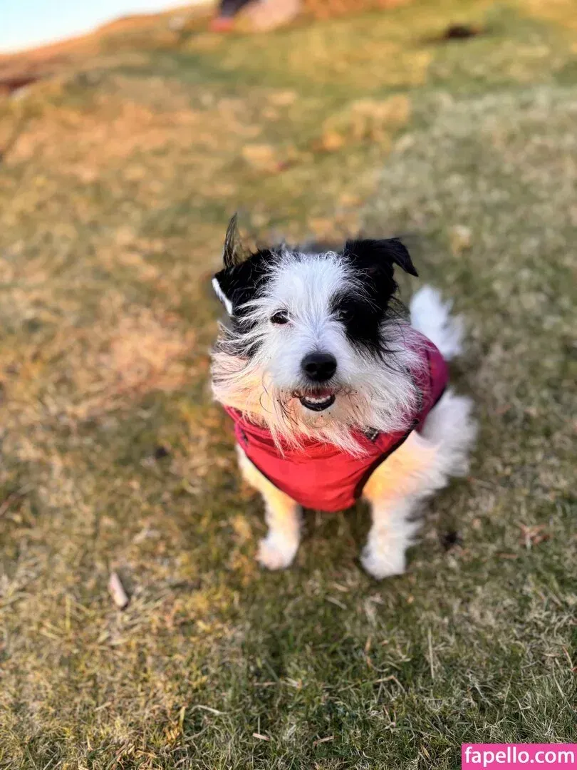 missbellaboo_x Onlyfans Photo Gallery 