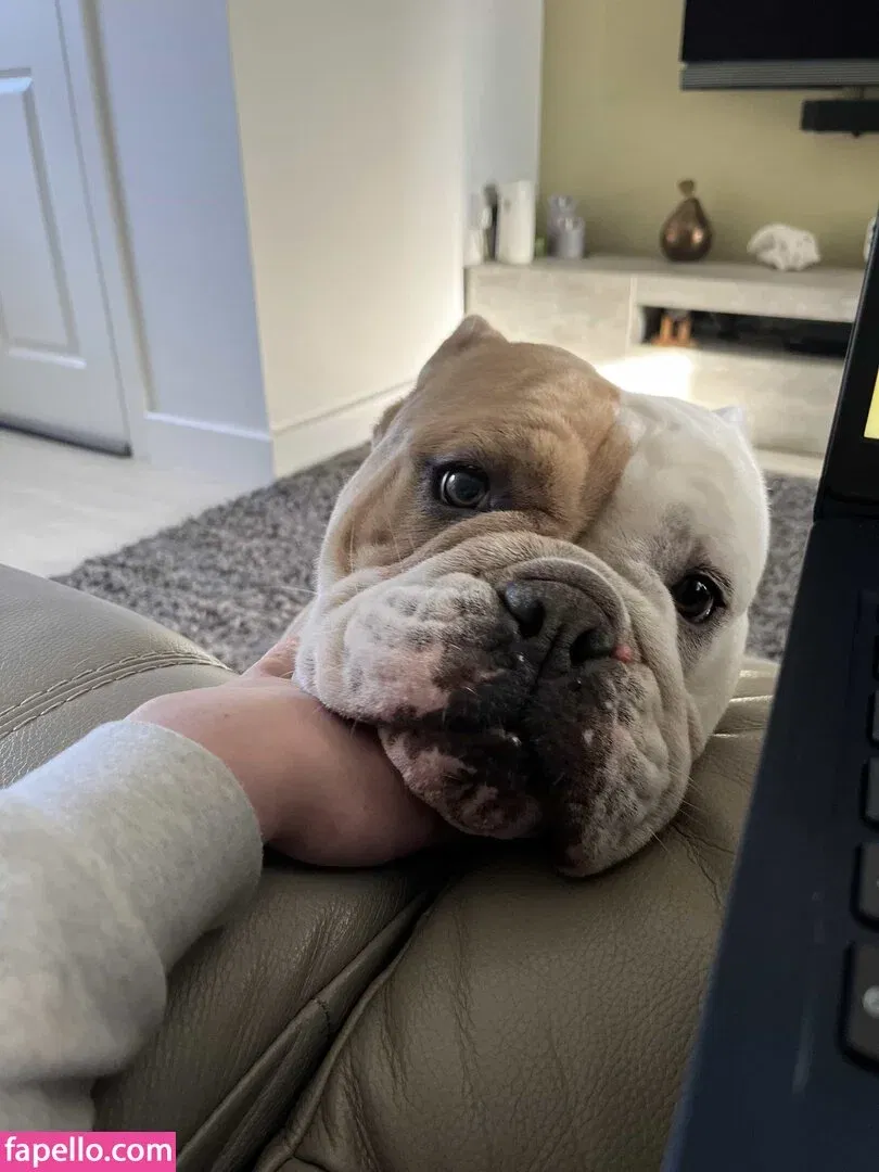 missbellaboo_x Onlyfans Photo Gallery 