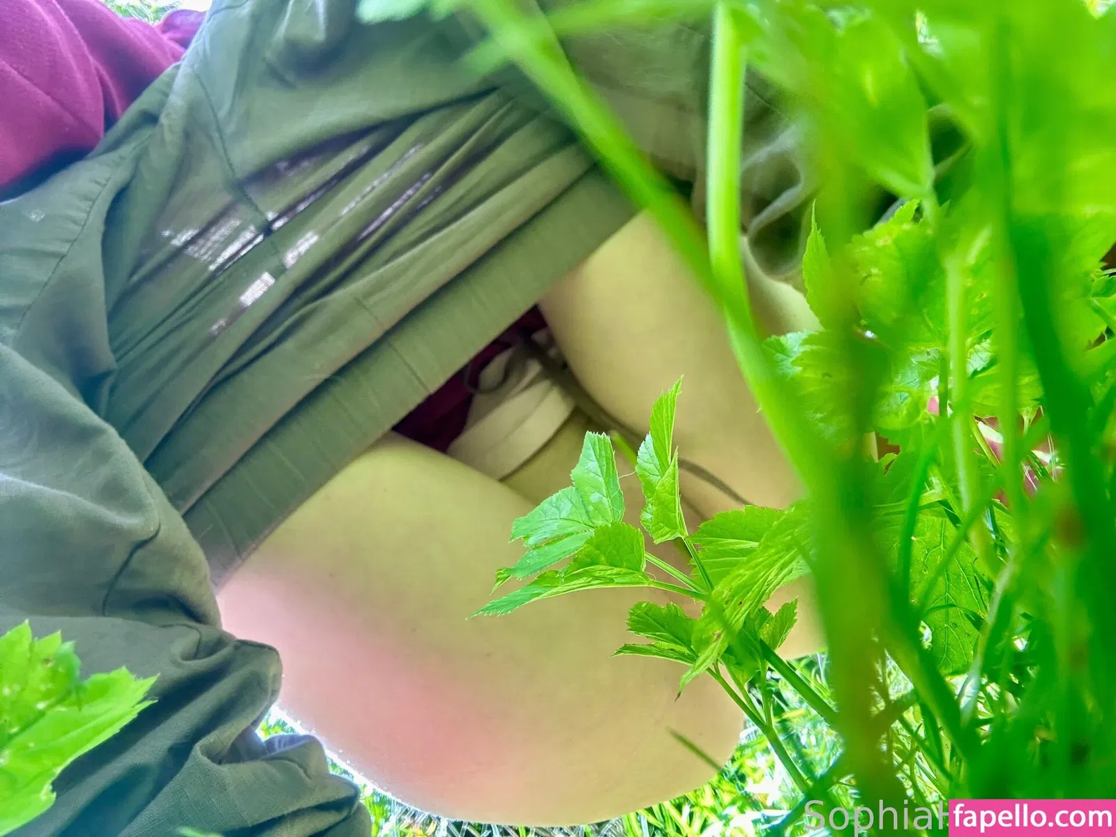 SophiaHazelnut Onlyfans Photo Gallery 