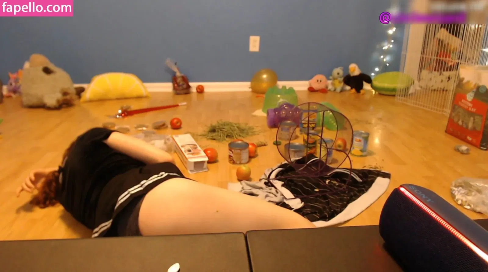 Laribug Onlyfans Photo Gallery 