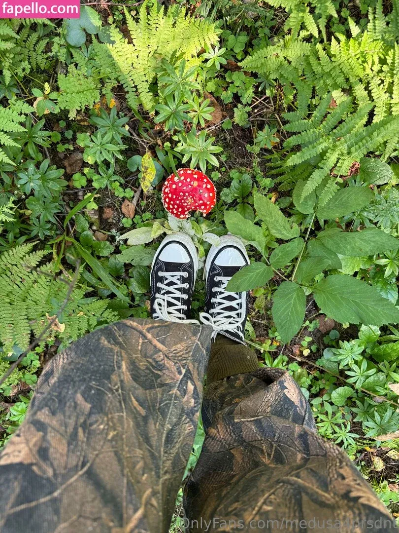 medusa4prsdnt Onlyfans Photo Gallery 