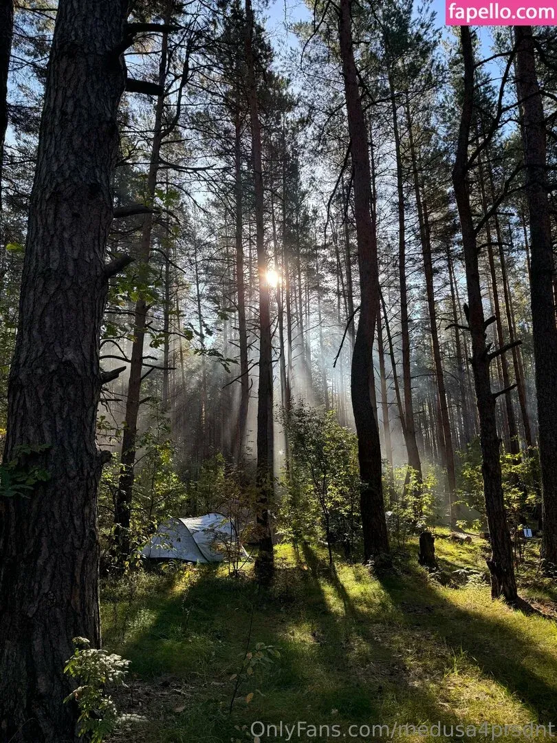 medusa4prsdnt Onlyfans Photo Gallery 