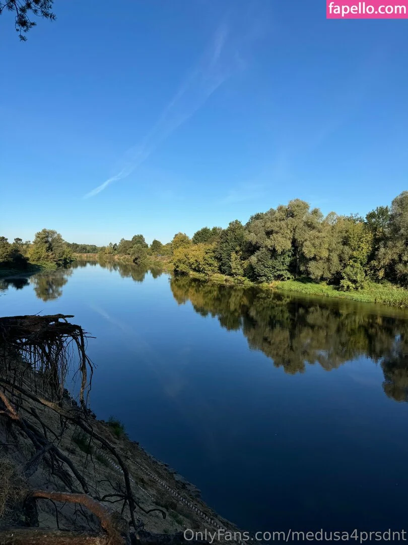 medusa4prsdnt Onlyfans Photo Gallery 