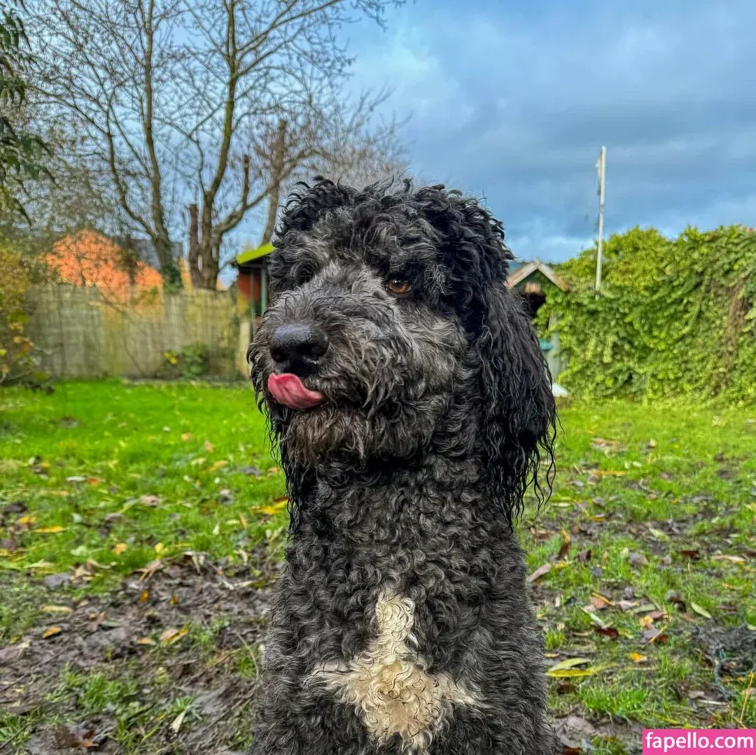 ThorriandJax Onlyfans Photo Gallery 