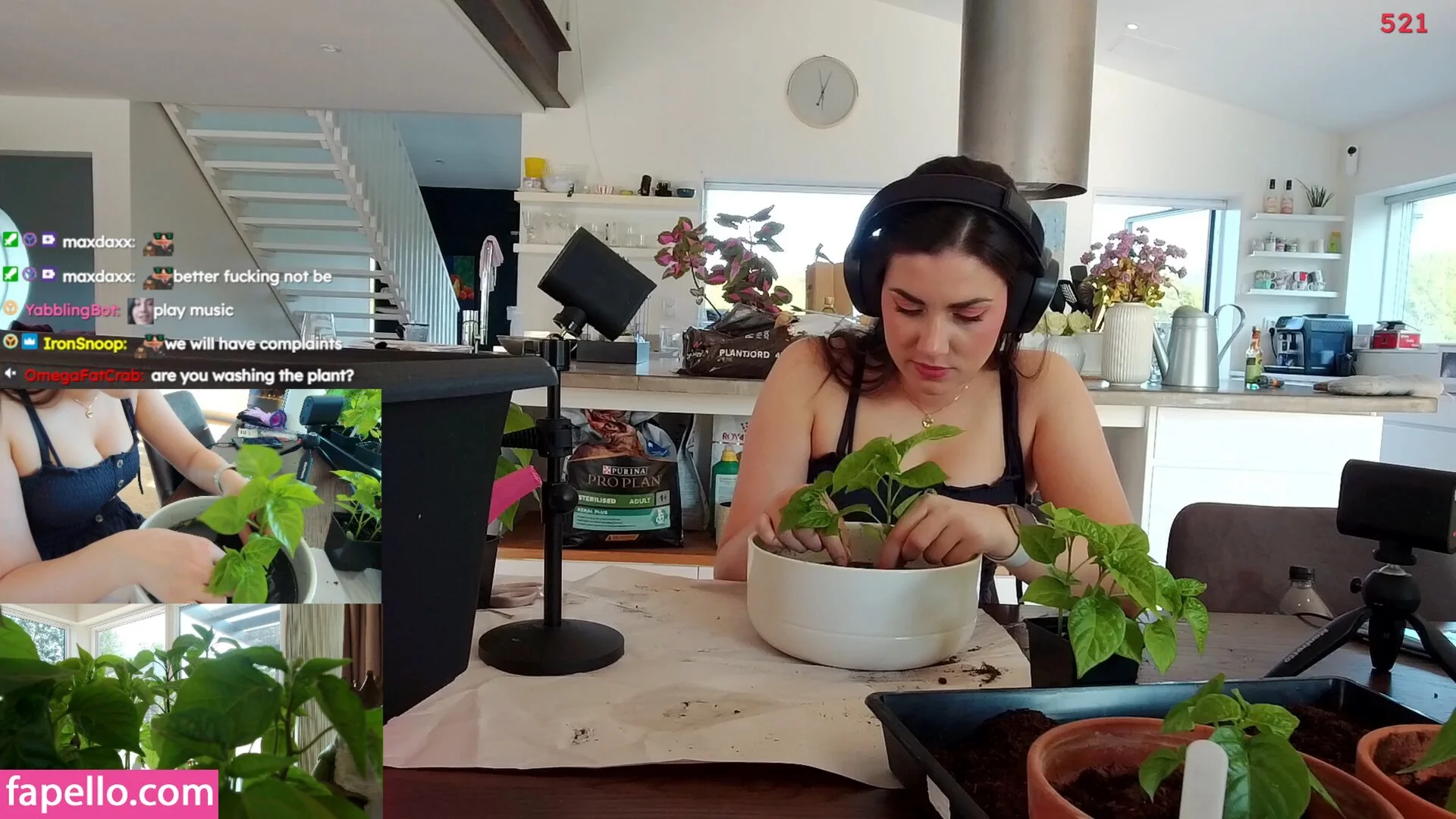 yabbe Onlyfans Photo Gallery 