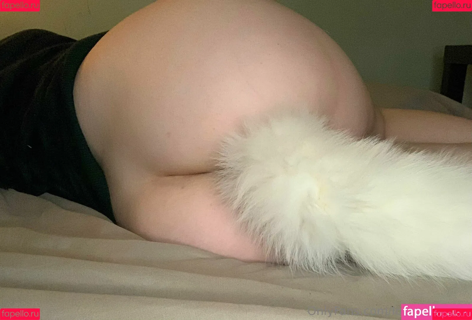 gentleewebb Onlyfans Photo Gallery 