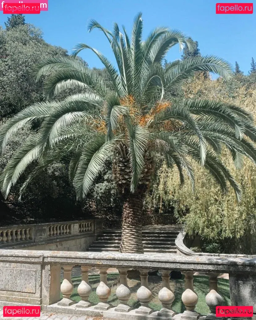 Martine Baardseng Onlyfans Photo Gallery 