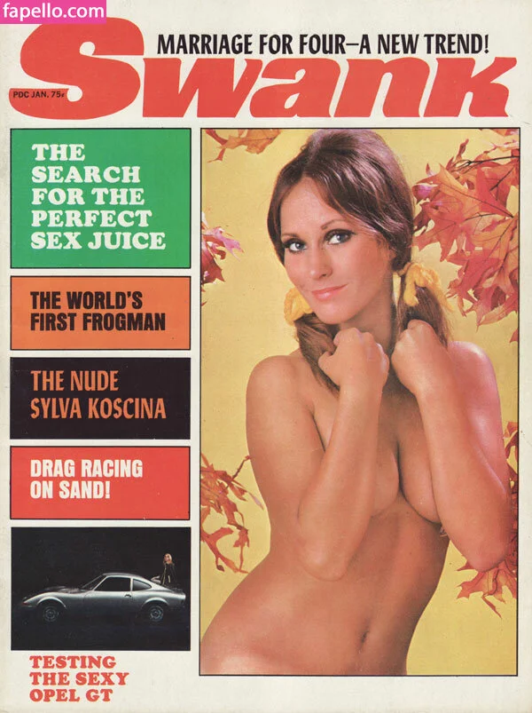 Classic Porn Magazines Onlyfans Photo Gallery 