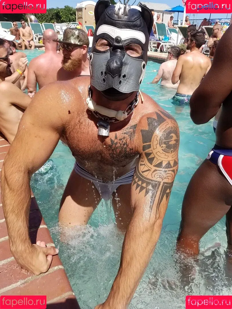 machopup Onlyfans Photo Gallery 