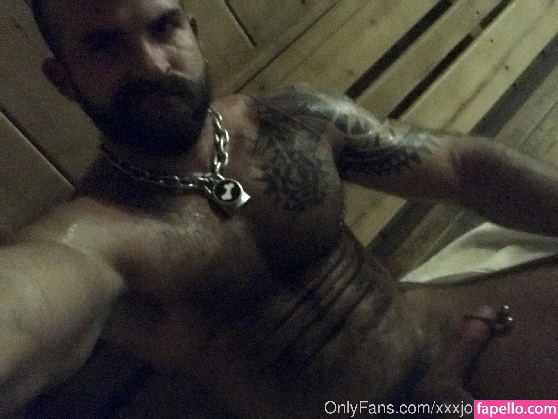 machopup Nude Onlyfans Photo 16