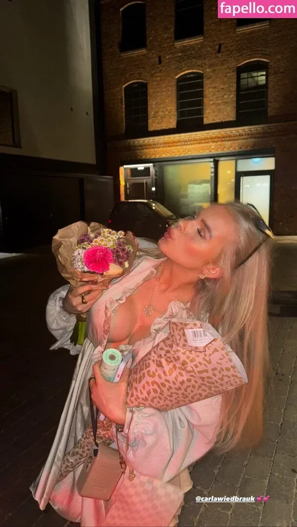 Carla Wiedbrauk Onlyfans Photo Gallery 