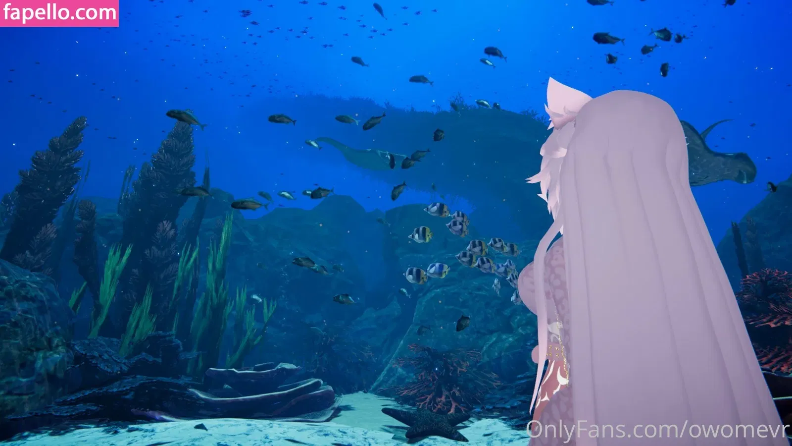 owomevr Onlyfans Photo Gallery 