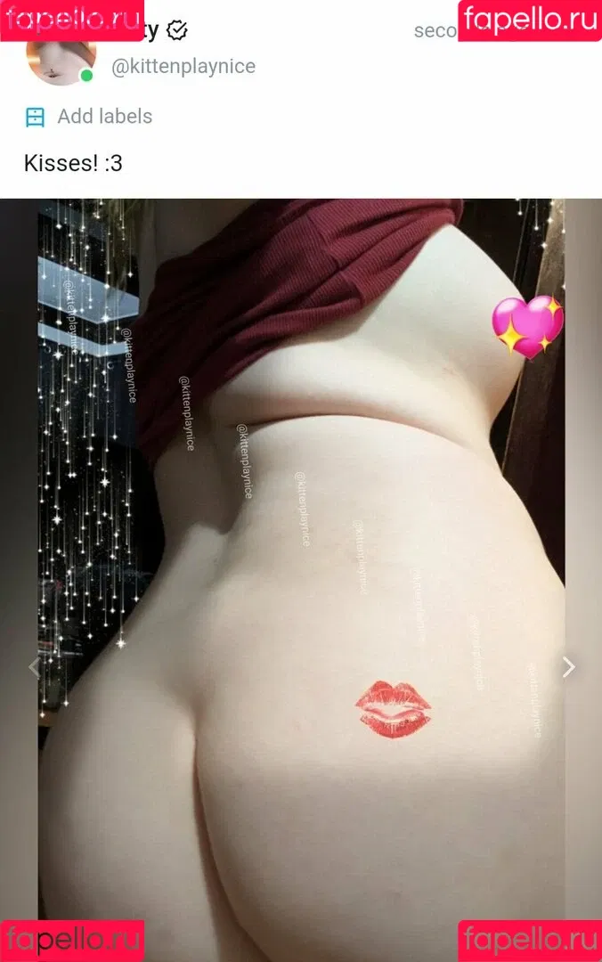 pettanhon Onlyfans Photo Gallery 